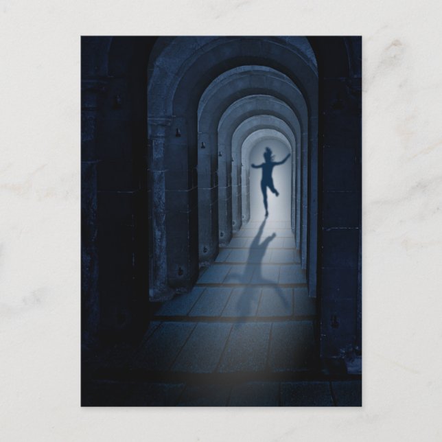 Carte Postale Vol (Devant)