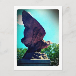 Carte Postale vol d'aigle