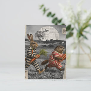 Carte Postale Vol de carottes hilarant de marmotte et de lapin