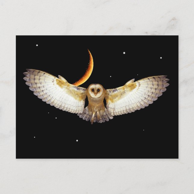 Carte postale "Vol de nuit" (Devant)