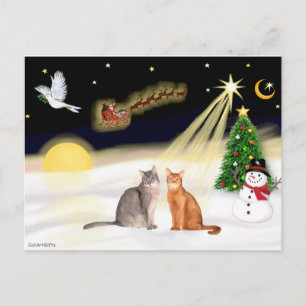 Carte Postale Vol de nuit - Deux chats abyssiniques