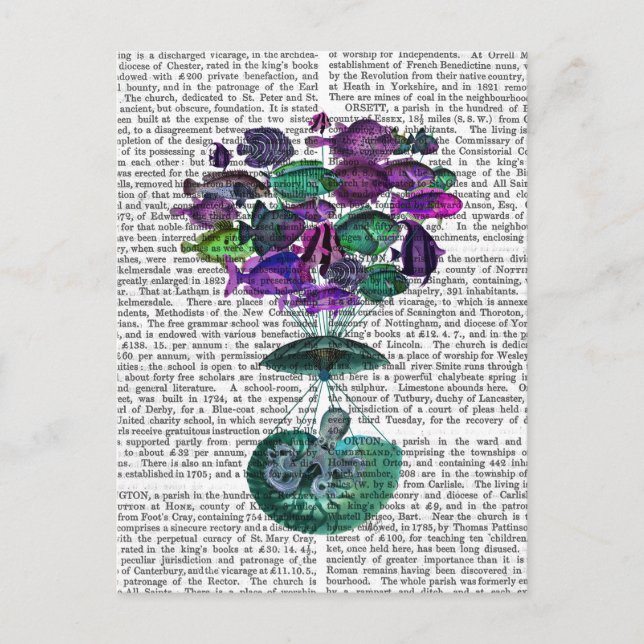 Carte Postale Vol Du Ballon À Air Chaud Poisson (Devant)