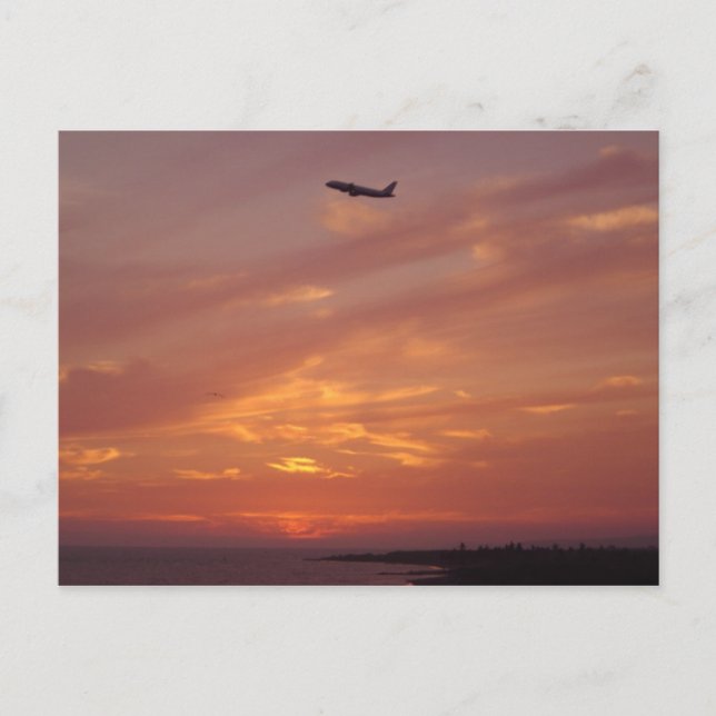 Carte Postale Vol du coucher du soleil (Devant)