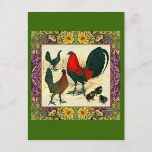 Carte Postale Volaille de Combat Fleurie Cadre