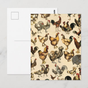 Carte Postale Volailles anciennes du monde - Races de poules art