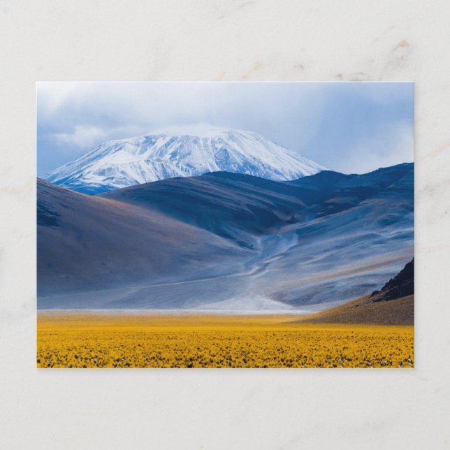 Carte Postale Volcan Incahuasi, Argentine (Devant)