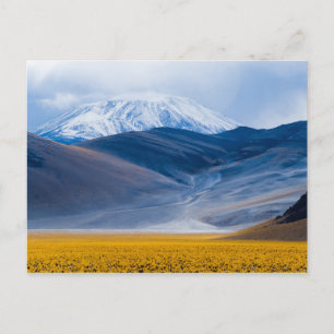 Carte Postale Volcan Incahuasi, Argentine