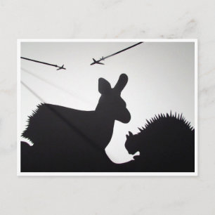 Carte Postale vols d'animaux