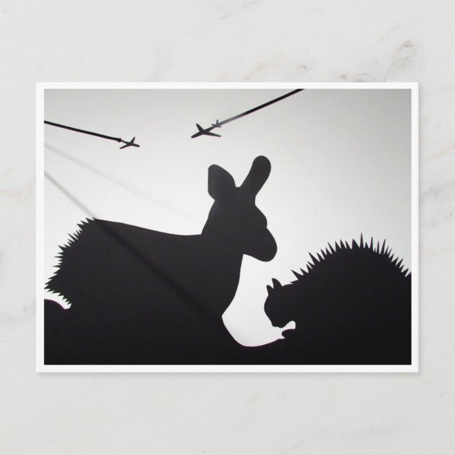 Carte Postale vols d'animaux (Devant)