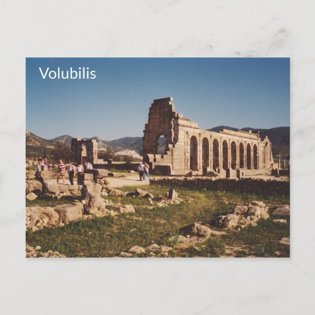 Carte Postale Volubilis - Maroc (Devant)