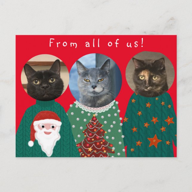 Carte Postale Vos 3 chats dans des pulls de Noël moches (Devant)