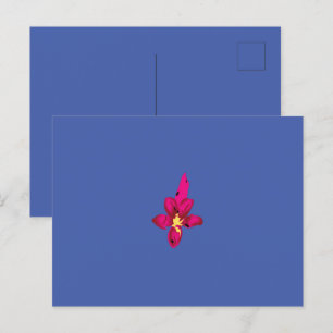 Carte Postale Vos vacances dans votre poche