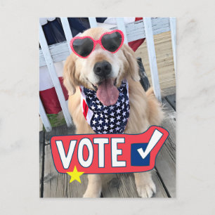 Carte Postale Vote du chien patriotique Golden Retriever