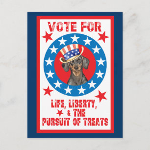 Carte Postale Vote pour Dachshund