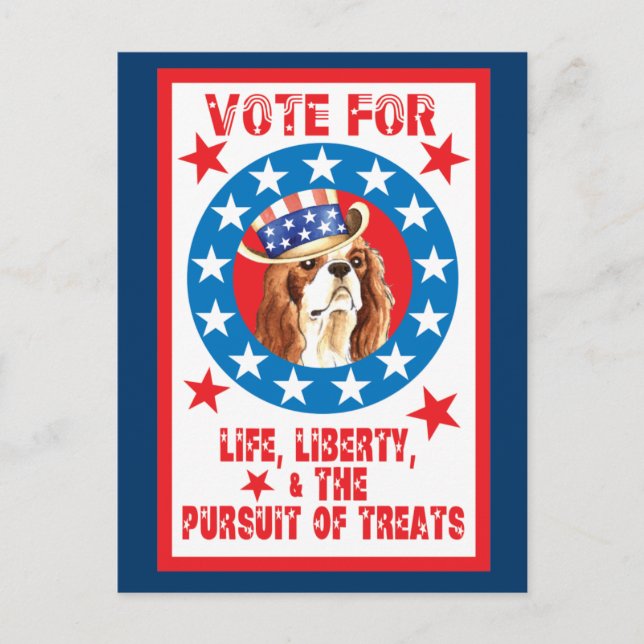 Carte Postale Voter pour Cavalier (Devant)