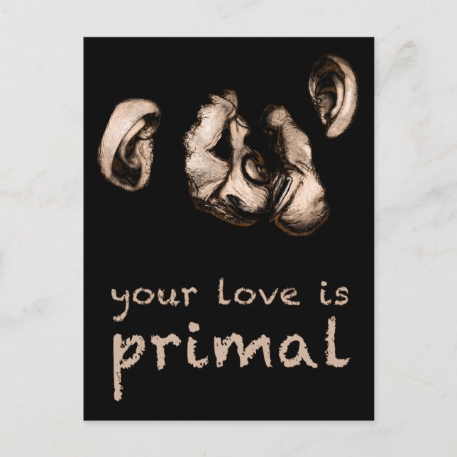 Carte Postale votre amour est primal : baiser les chimpanzés (Devant)