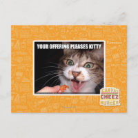 Votre Offre Plaise Kitty