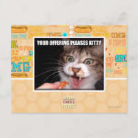 Votre Offre Plaise Kitty