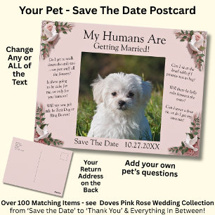 Carte Postale Votre photo d'animal de compagnie Save The Date Ro