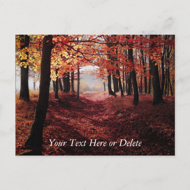 Carte Postale Votre texte Crimson Red Autumn quitte Forest Path (Devant)