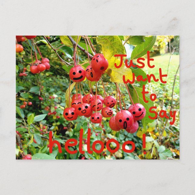 Carte Postale Vouloir simplement dire Bonjour ! (Devant)