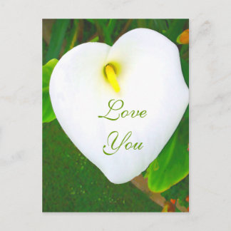 Carte Postale Vous aimez_