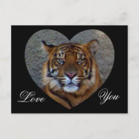 Vous aimez_