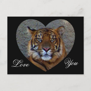 Carte Postale Vous aimez_