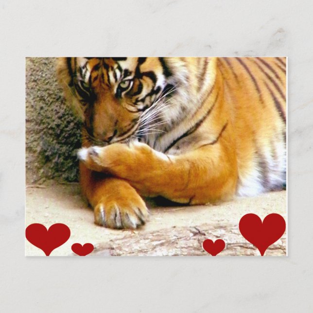 Carte Postale Vous aimez_ (Devant)