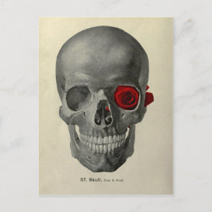 Carte Postale Vous aimez toujours - crâne et rose