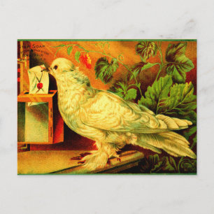 Carte Postale Vous avez du courrier !