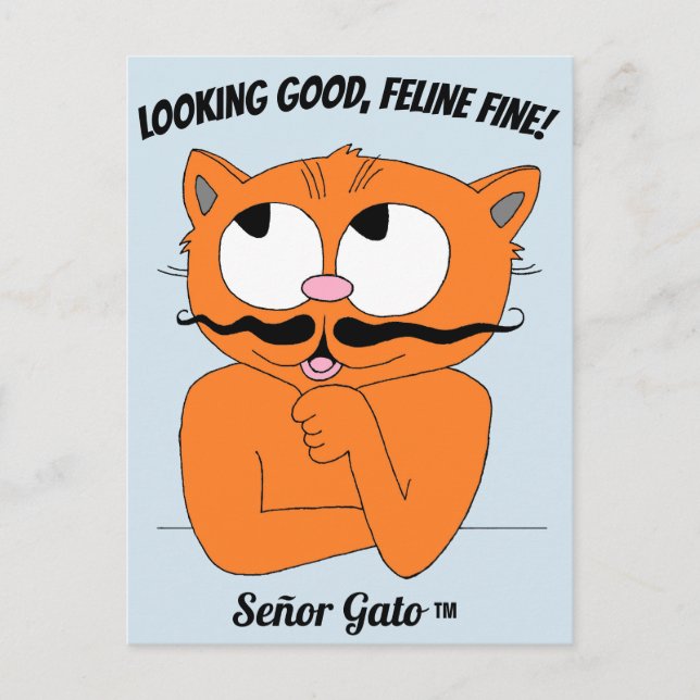 Carte Postale "VOUS AVEZ FIÈRE ALLURE, FÉLIN SUPERBE !" Joli Cha (Devant)