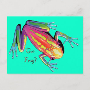 Carte Postale Vous avez Grenouille ?
