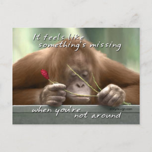 Carte Postale Vous avez manqué