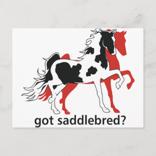 Carte Postale Vous avez Saddlebred ?