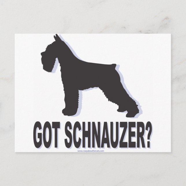Carte Postale Vous avez Schnauzer ? (Devant)