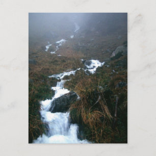 CARTE POSTALE VOUS, BIEN AIMÉ