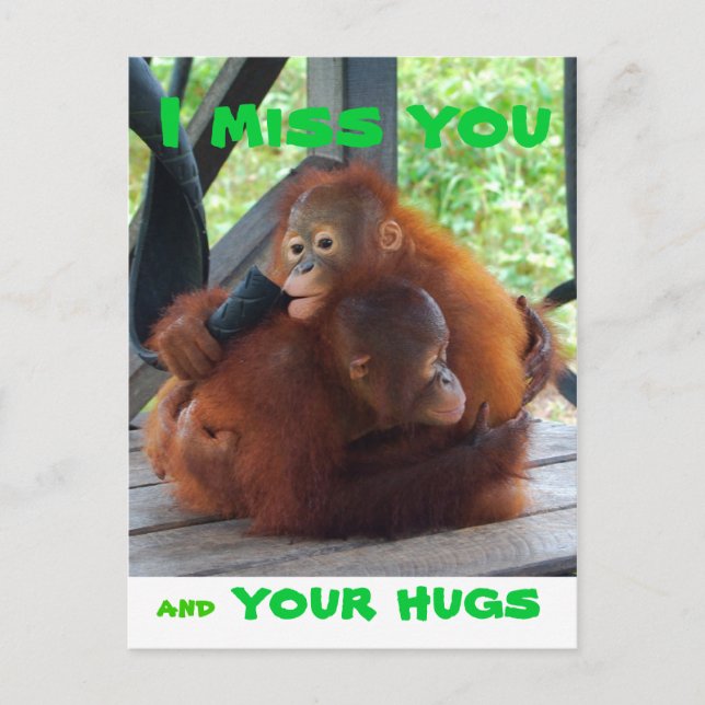 Carte Postale Vous et vos câlins me manquent (Devant)