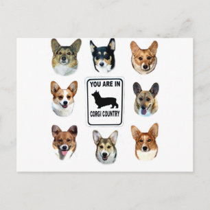 Carte Postale Vous êtes dans le pays de corgi