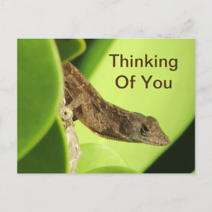 Carte Postale Vous êtes dans mes pensées Amitié Reptile Gecko