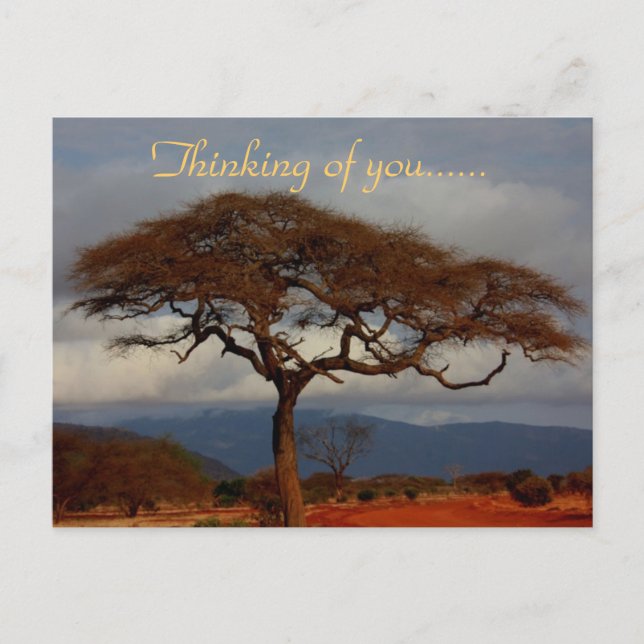 Carte Postale Vous êtes dans nos pensées Afrique (Devant)