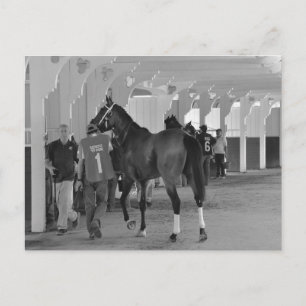 Carte Postale Vous êtes en train de me tuer par Adios Charlie