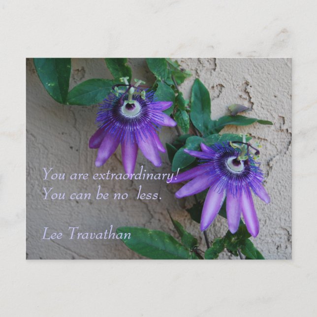 Carte Postale Vous êtes extraordinaire. Vous ne pouvez pas être  (Devant)