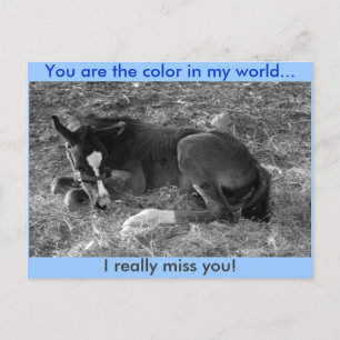 Carte Postale Vous êtes la couleur dans mon monde