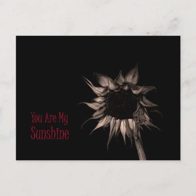 Carte Postale Vous Êtes Mon Sunshine Sunflower Cute Cool unique (Devant)