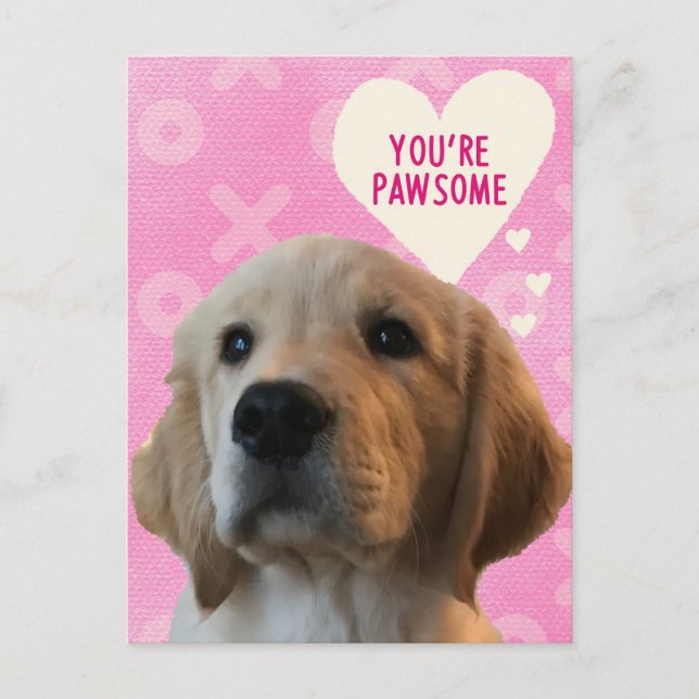 Carte Postale Vous êtes PAWSOME Golden Valentine's Day Postcard (Devant)