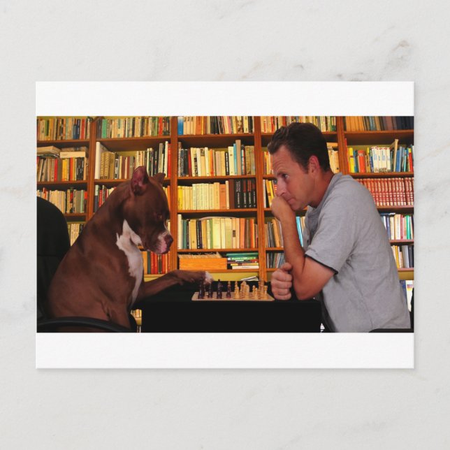 Carte Postale Vous êtes sûr de cette décision ? (Devant)