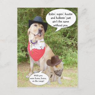 Carte Postale Vous manquez...