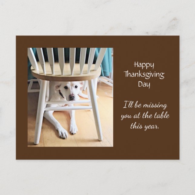 Carte Postale Vous manquez mignon chien blanc Brown Thanksgiving (Devant)