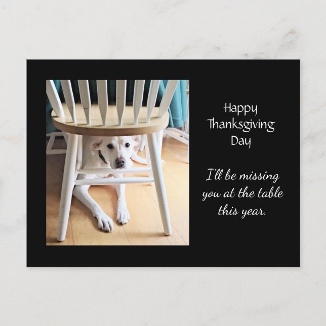 Carte Postale Vous manquez mignon chien blanc Thanksgiving noir (Devant)